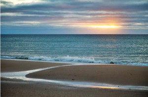 18472_1288001371314_1568593191_762344_2466467_n