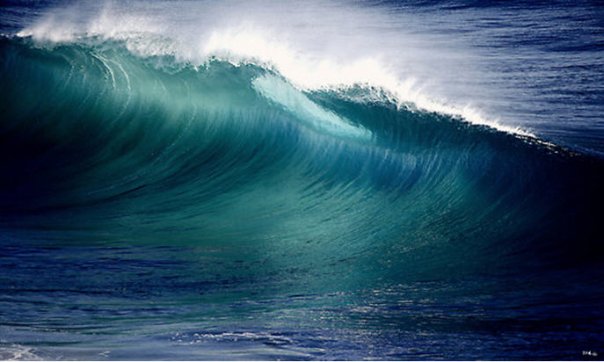 18472_1295014946649_1568593191_779373_2578433_n