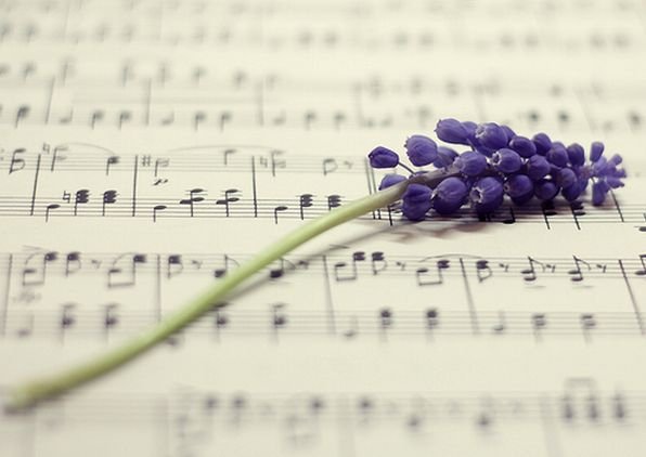 29988_391462913201_38051523201_4253145_4306185_n