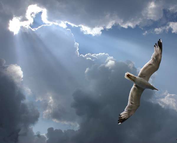 31493_10150209177310457_688850456_12598560_8122887_n