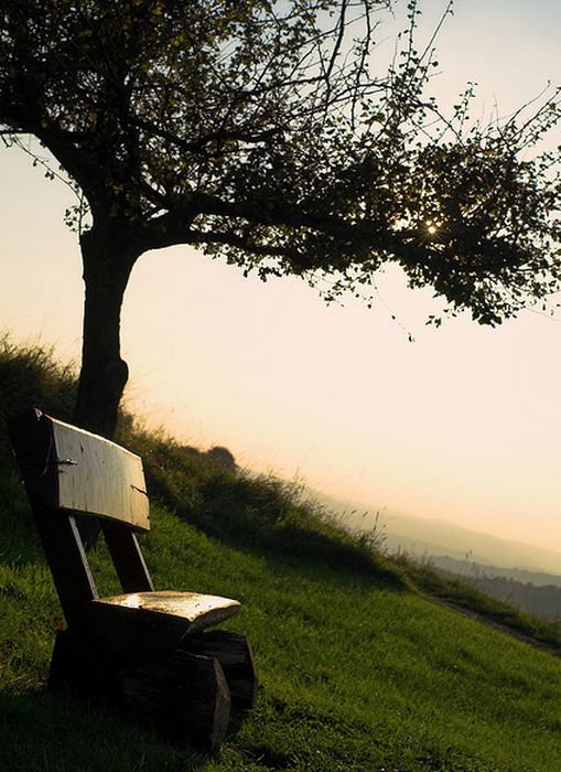 47168_422399378201_38051523201_5060982_863375_n