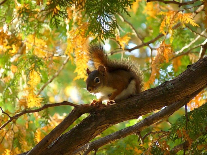 60267_433139138201_38051523201_5300551_2035019_n-1