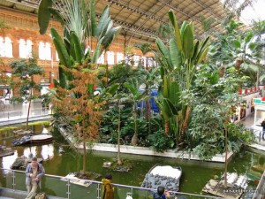 El Jardín Tropical y el estanque de las tortugas, lugar de encuentro de los atrieros 