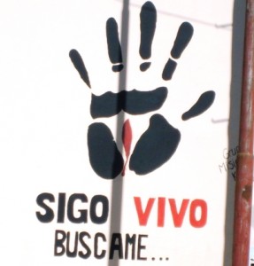 Sigo Vivo