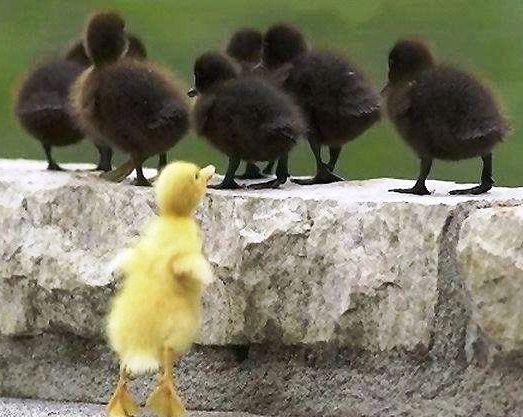 n614501834_1335863_2213