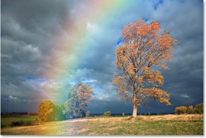 rainbow-blur